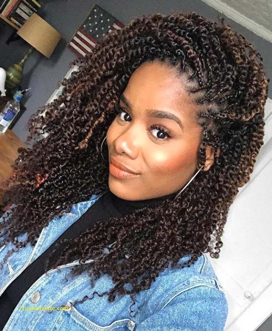 Passion Twists Hairstyle Truehairstyle