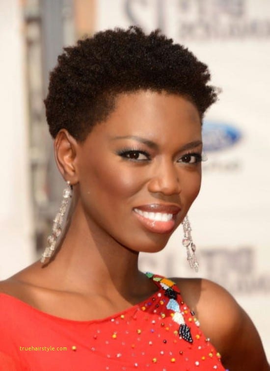 Beautiful Afro Styles For African Ladies With Short Natural Hair Truehairstyle